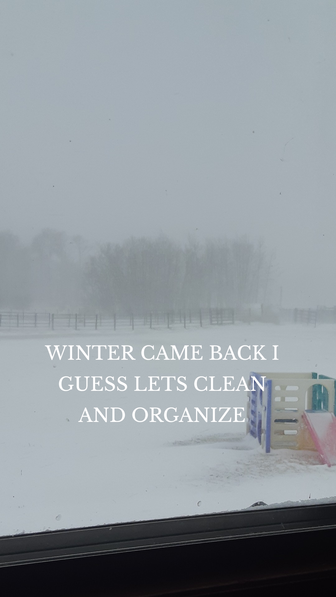 WINTER CAME BACK I GUESS LETS CLEAN AND ORGANIZE