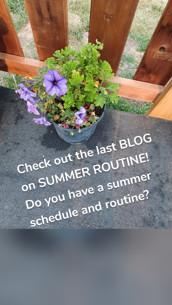 Check out the last BLOG on SUMMER ROUTINE!
Do you have a summer schedule and routine?