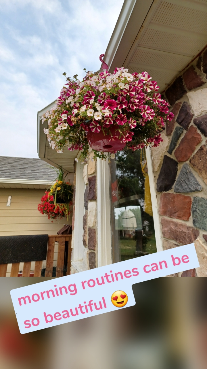 morning routines can be so beautiful 😍