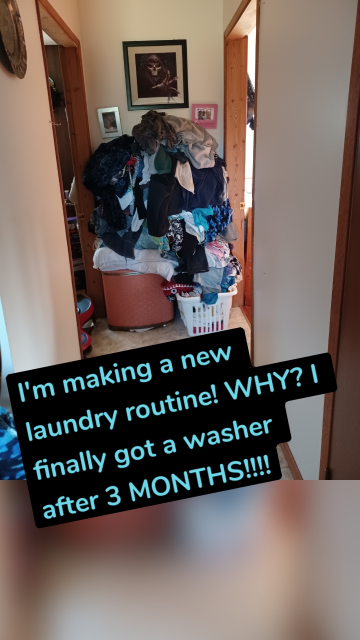 I'm making a new laundry routine! WHY? I finally got a washer after 3 MONTHS!!!!