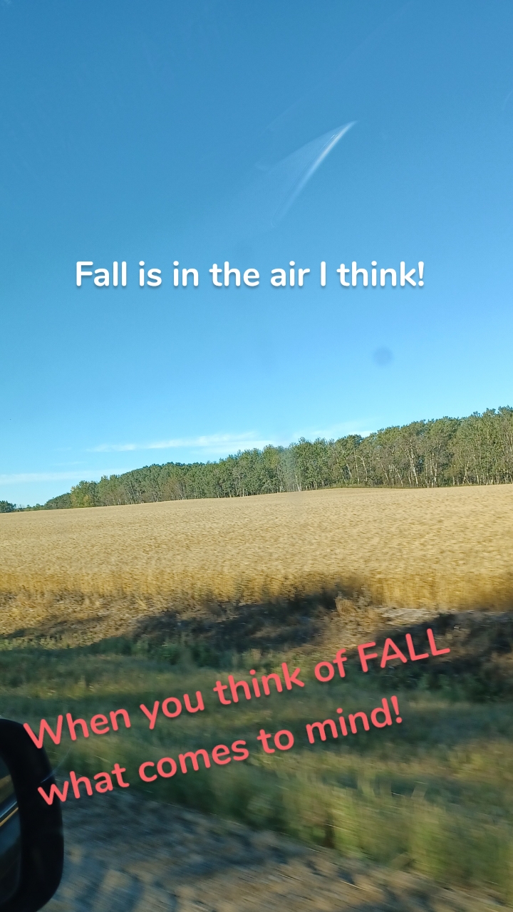 Fall is in the air I think! When you think of FALL what comes to mind!